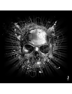 Tableau Tête de Mort Jadium par Sylvain BInet