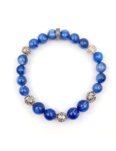 Blue Raven 2
